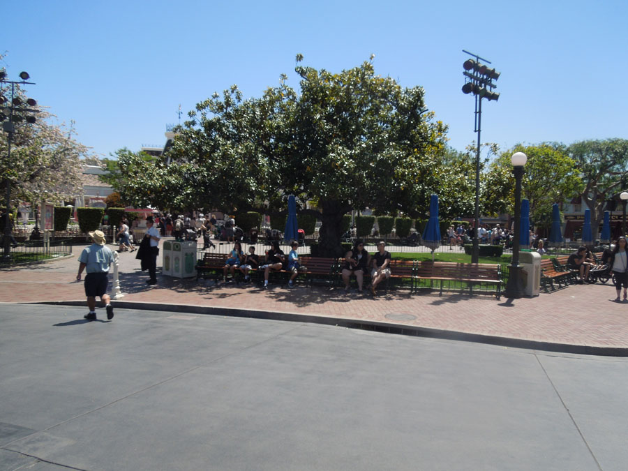 Disneyland Center Circle Picture